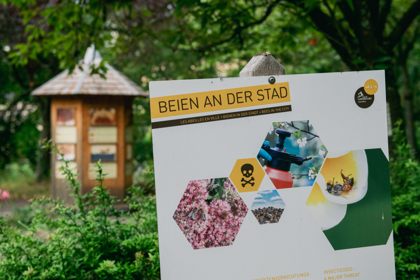 affiche de "beien an der stad"